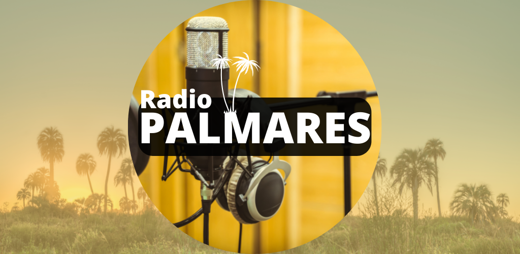 Banner Radio Palmares